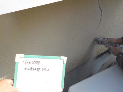 DSCN3367