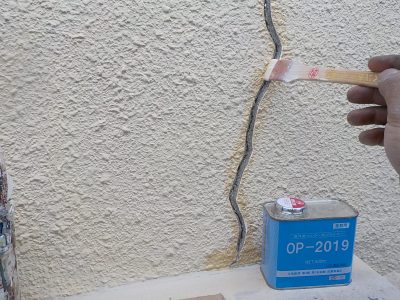 DSCN3370