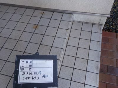 DSCN3549