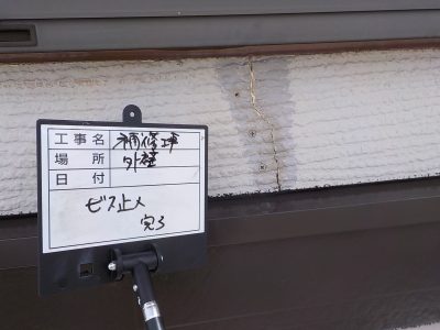 DSCN3708