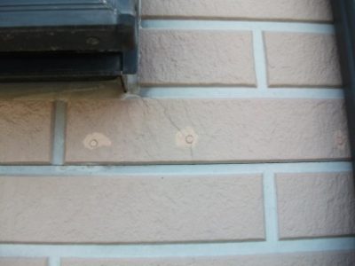 DSCF4951