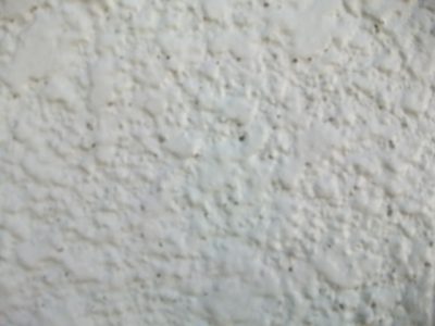 DSCF4963