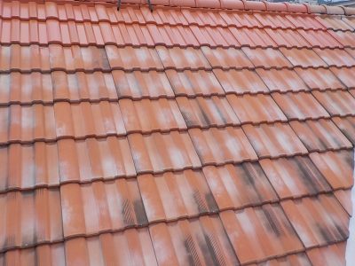 DSCN1362