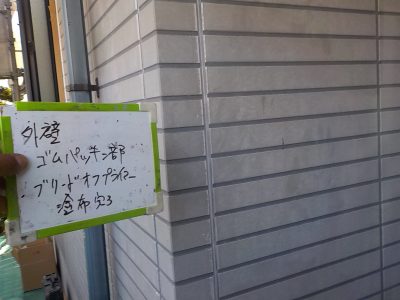 DSCN2781