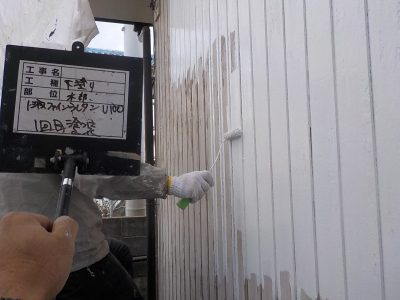 DSCN3377