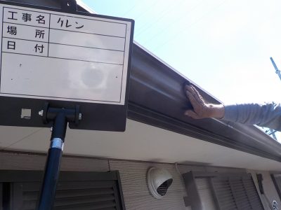 DSCN3667