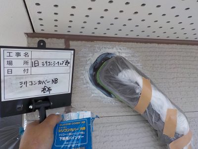 DSCN3703