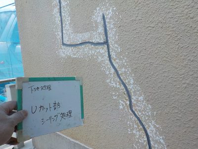 DSCN3376