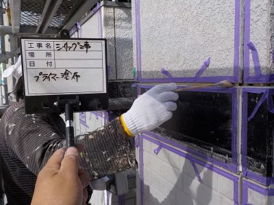 DSCN3817