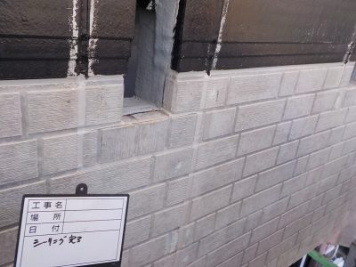 DSCN3865