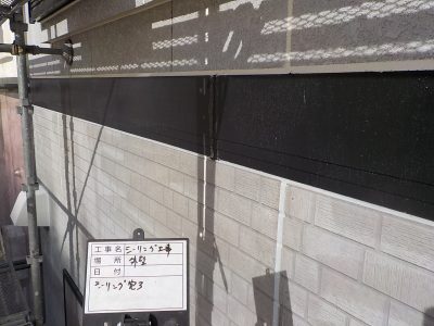 DSCN3875