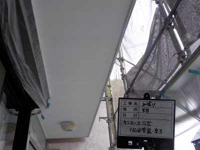 DSCN3910