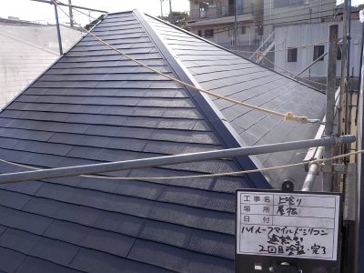 DSCN3924
