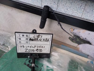 DSCN3992