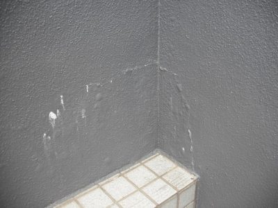 DSCF3772