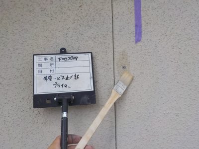 DSCN4288