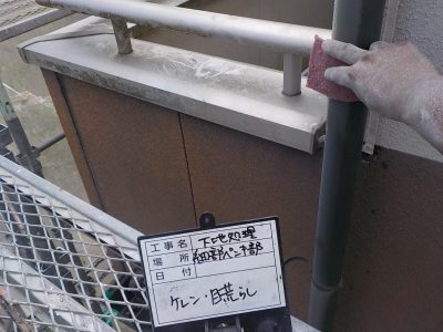 DSCN4291