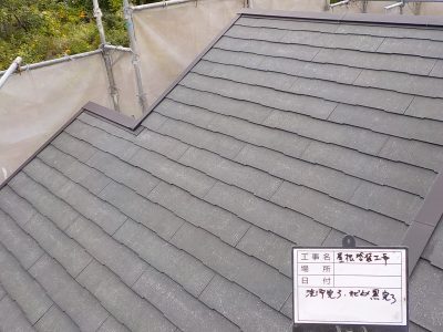 DSCN4310