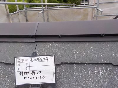 DSCN4320