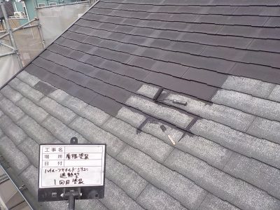DSCN4325