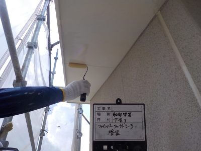 DSCN4333