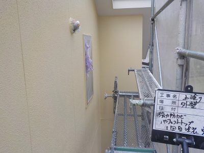 DSCN4369