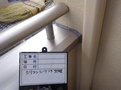 DSCN4421