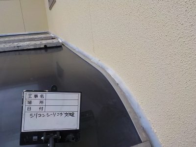 DSCN4422